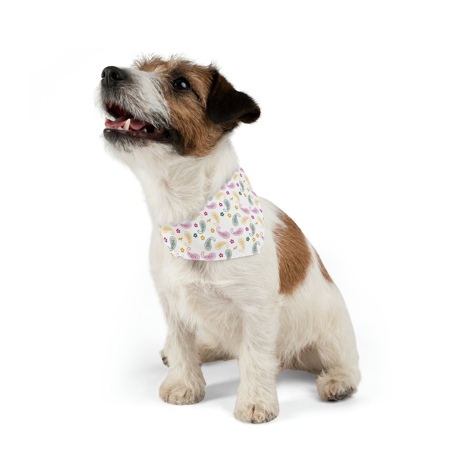 Unleashed Life Paisley Patterned Bandana Collar