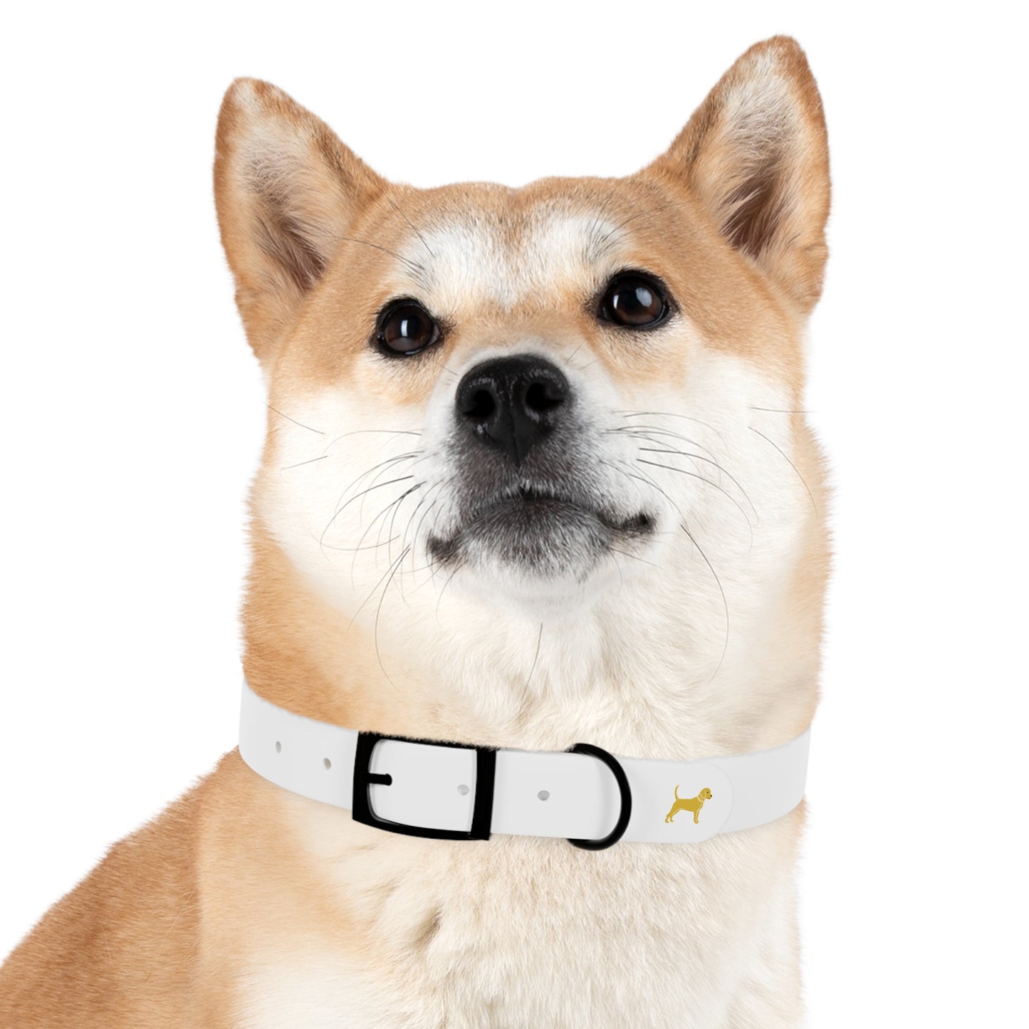 Unleashed Life Little Yellow Dog Collar