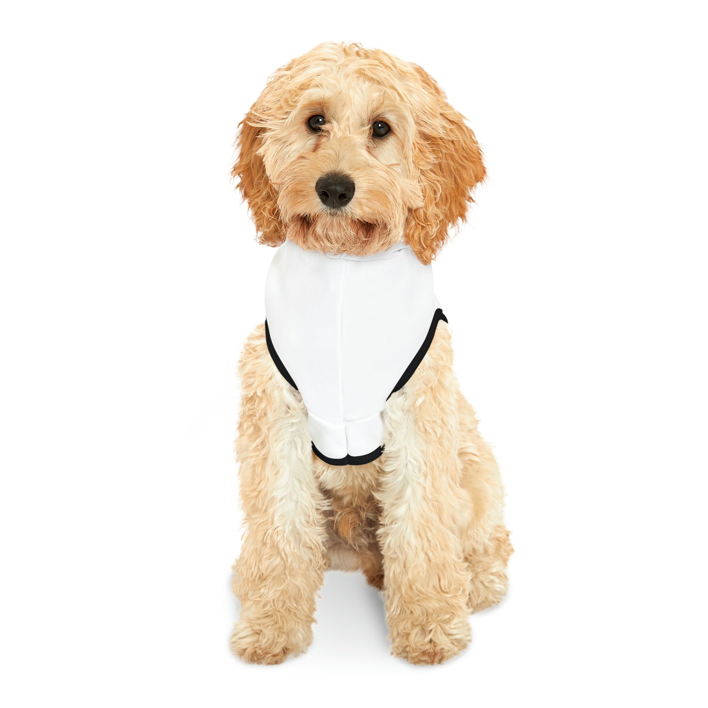 Unleashed Life Lucky Dog Pet Hoodie