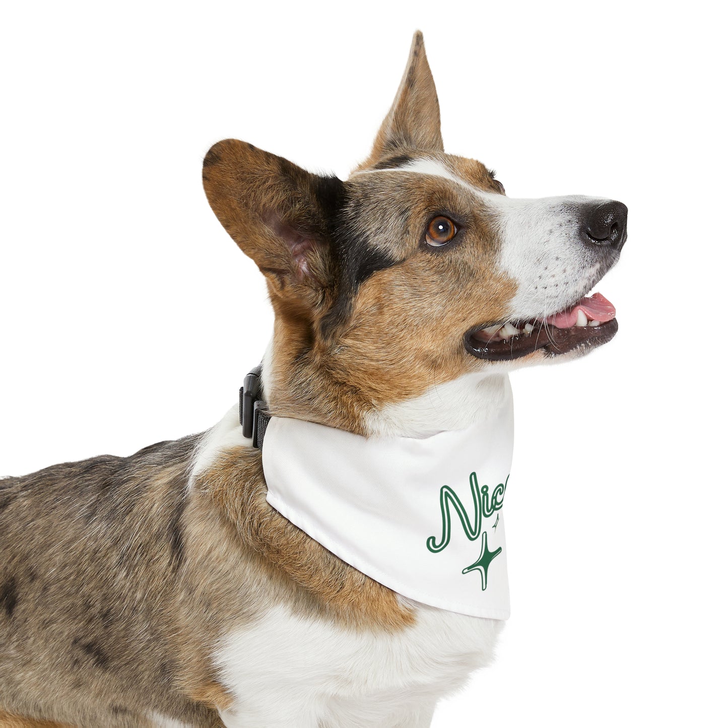 Unleashed Life "Nice List" Pet Bandana Collar