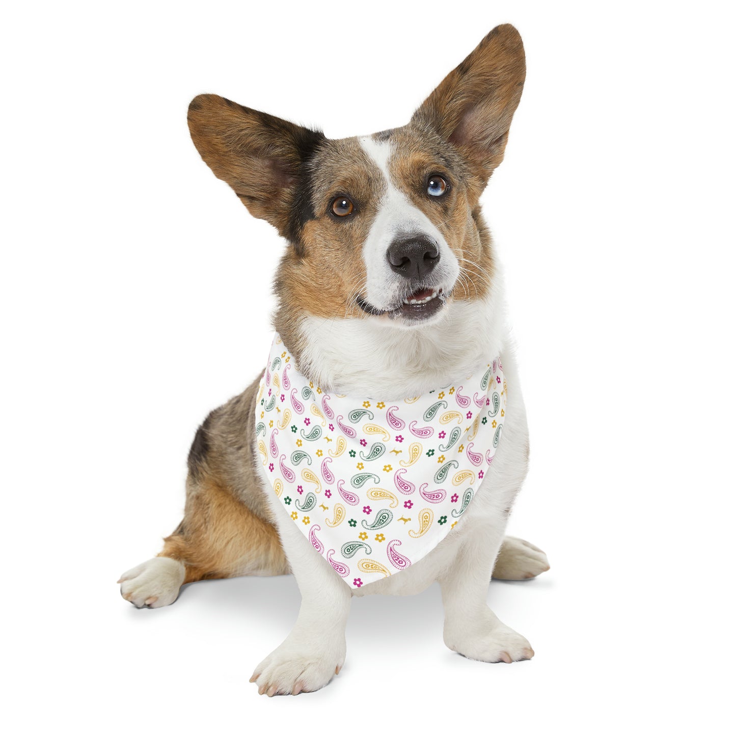 Unleashed Life Paisley Patterned Bandana Collar