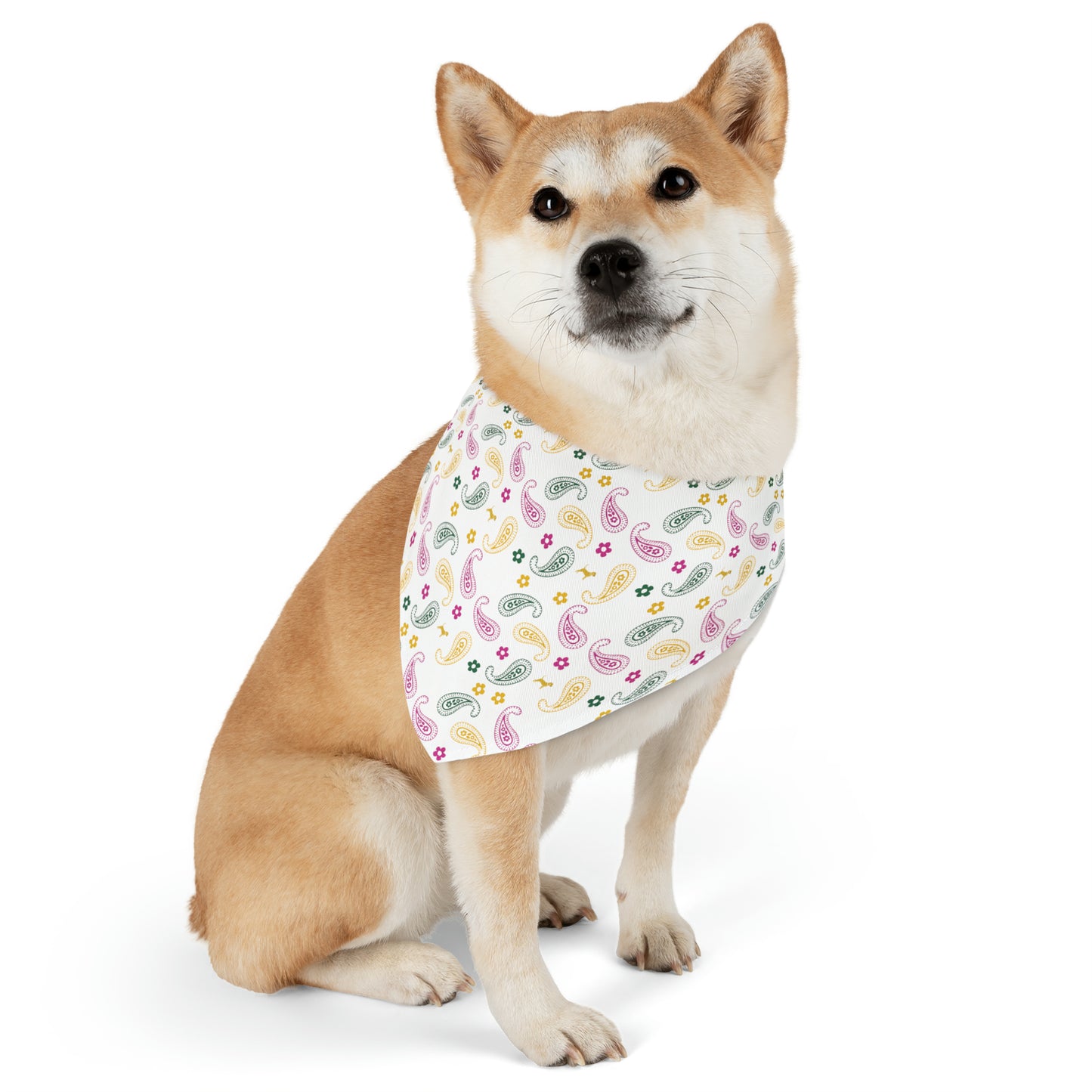 Unleashed Life Paisley Patterned Bandana Collar