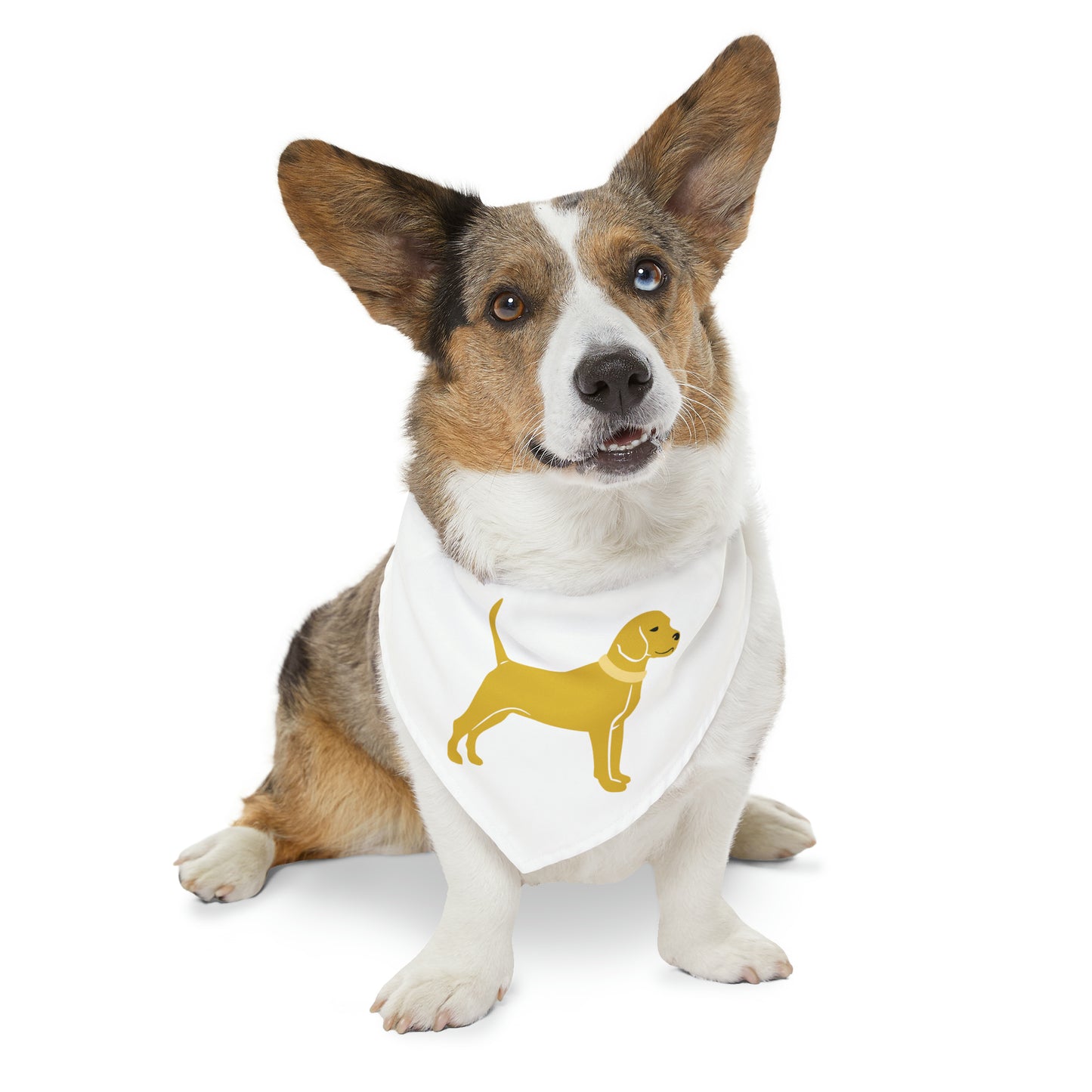 Unleashed Life Little Yellow Dog Pet Bandana Collar