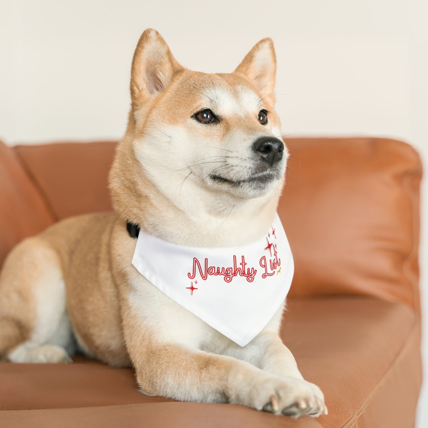 Unleashed Life "Naughty List" Pet Bandana Collar