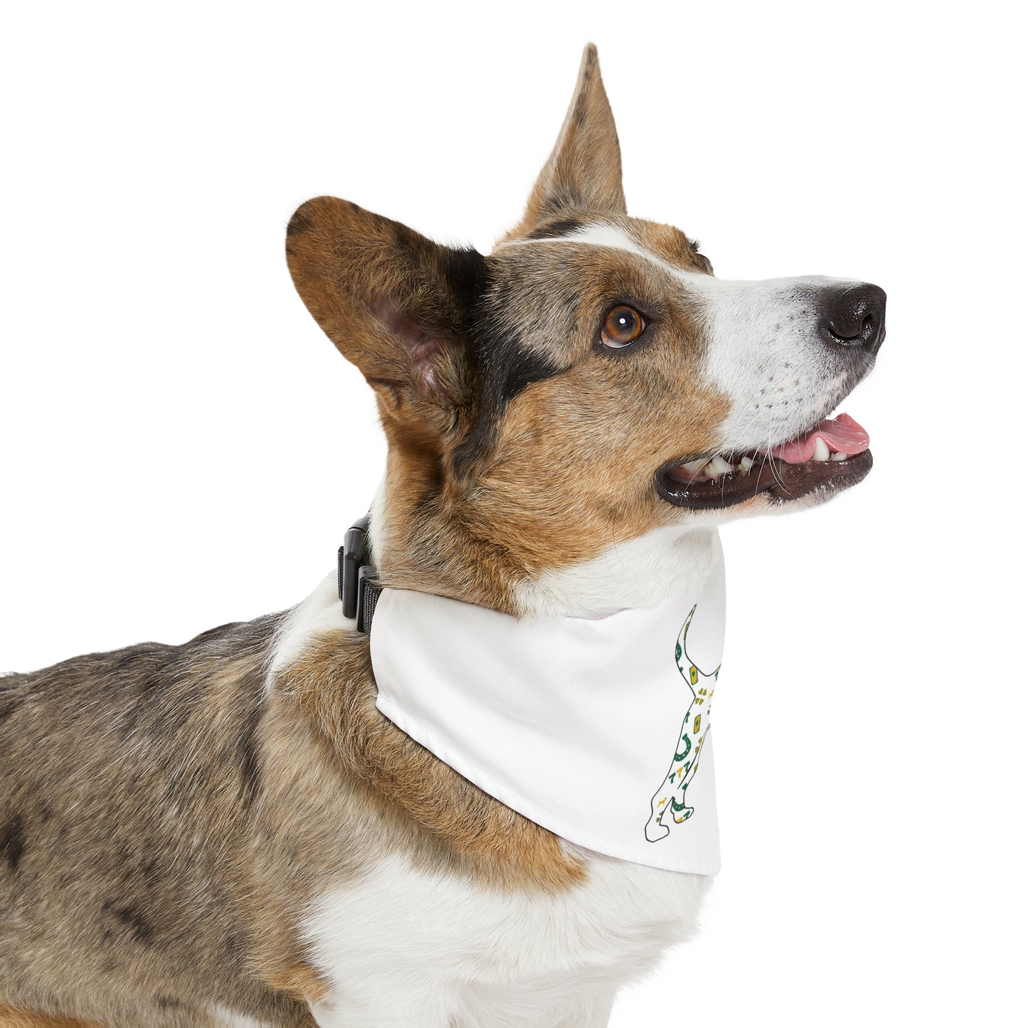 Unleashed Life Feeling Lucky Unleashed Life Pet Bandana Collar