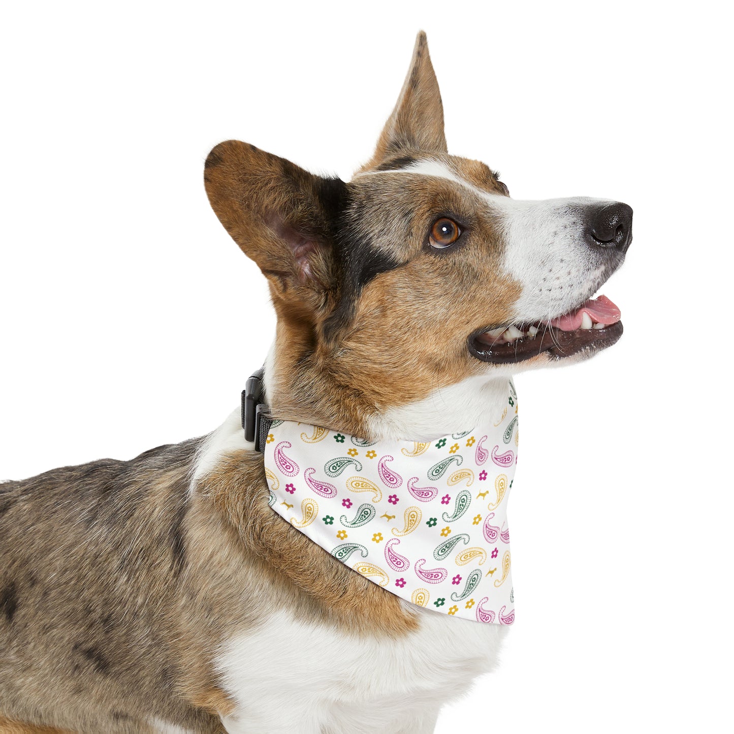 Unleashed Life Paisley Patterned Bandana Collar