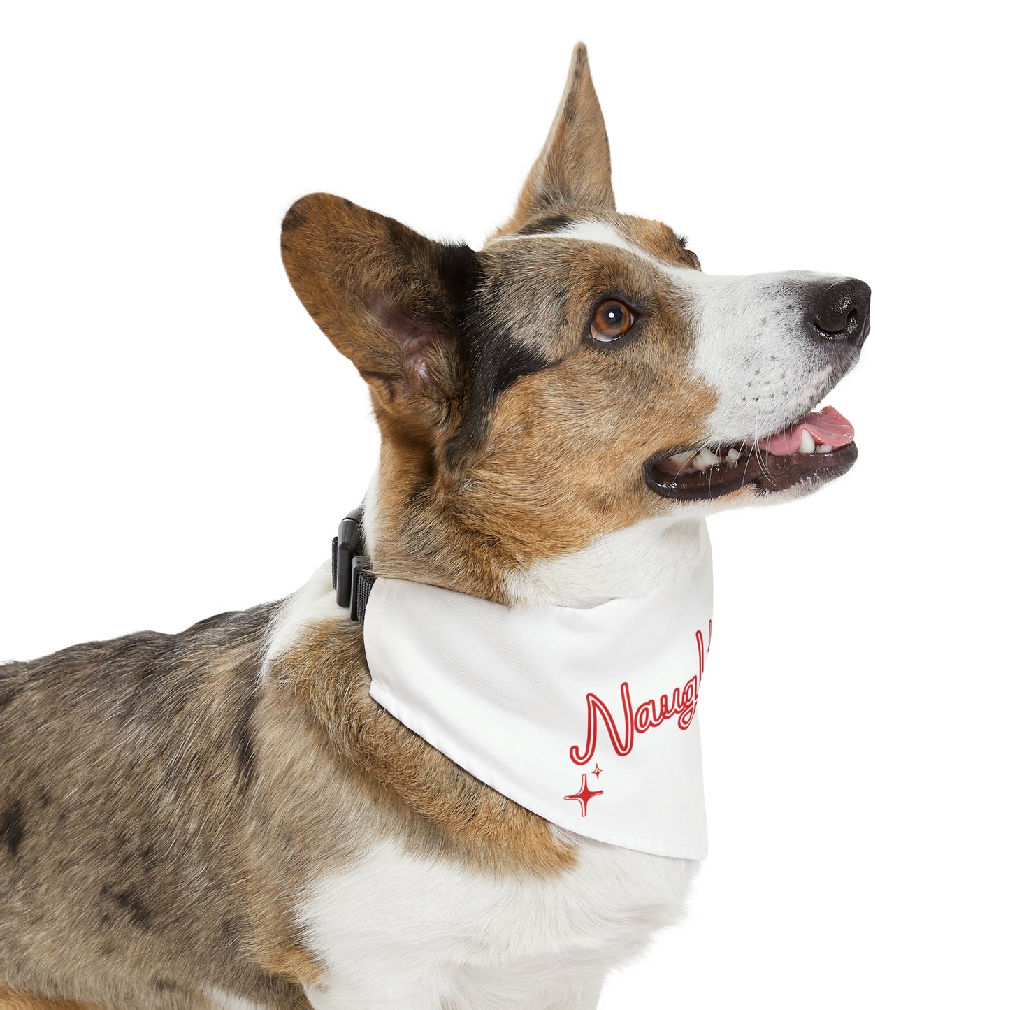 Unleashed Life "Naughty List" Pet Bandana Collar