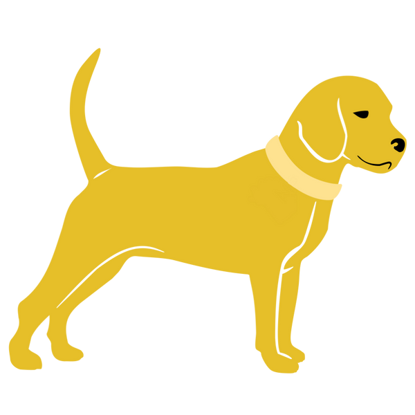 Unleashed Life Clothing Co. logo