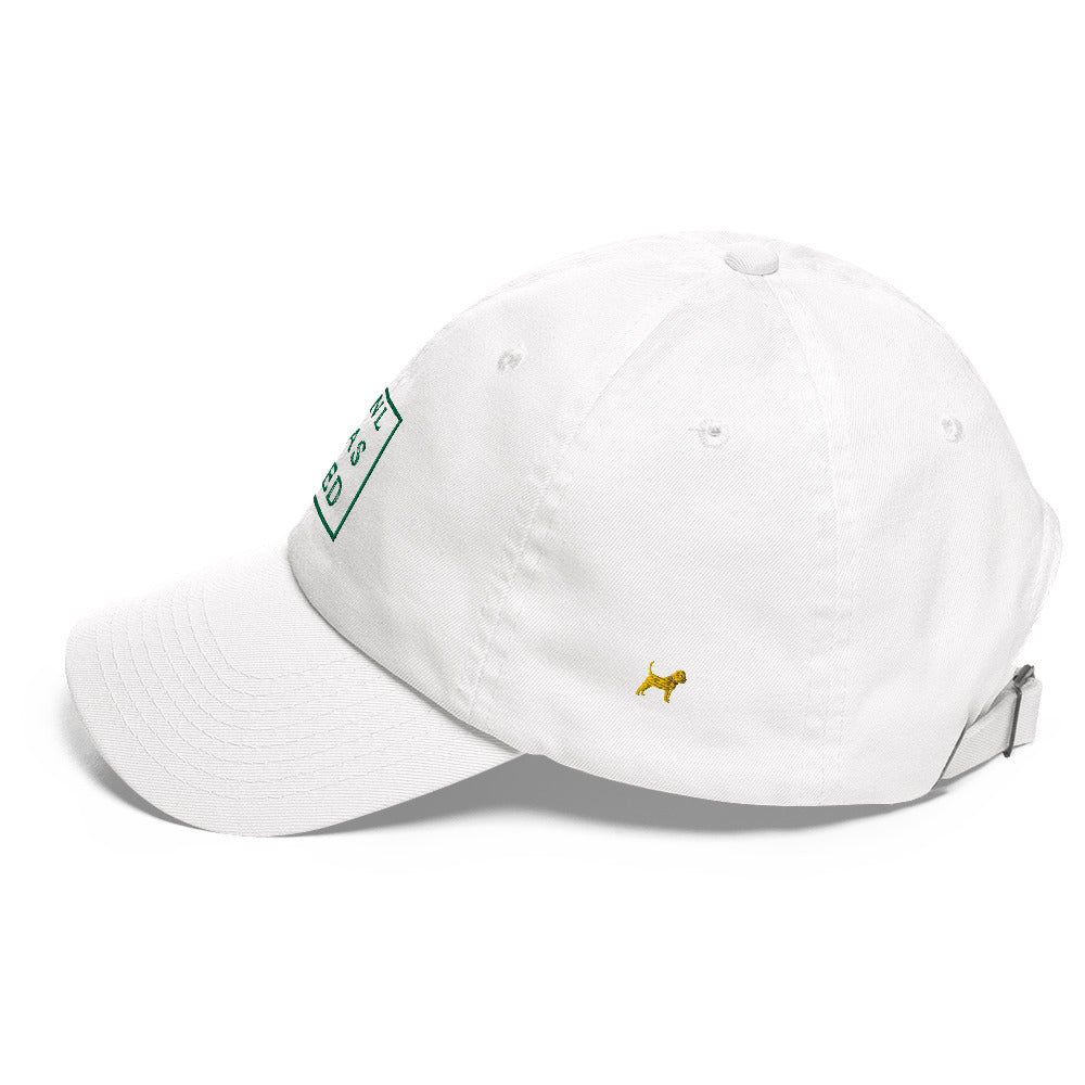 Unleashed Life Baseball Hat - Green Unleashed Limited Edition St. Patrick's Day