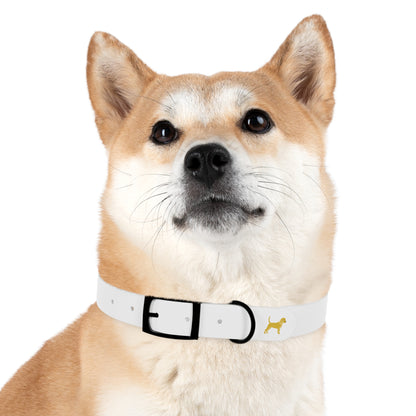 Little Yellow Dog Collar