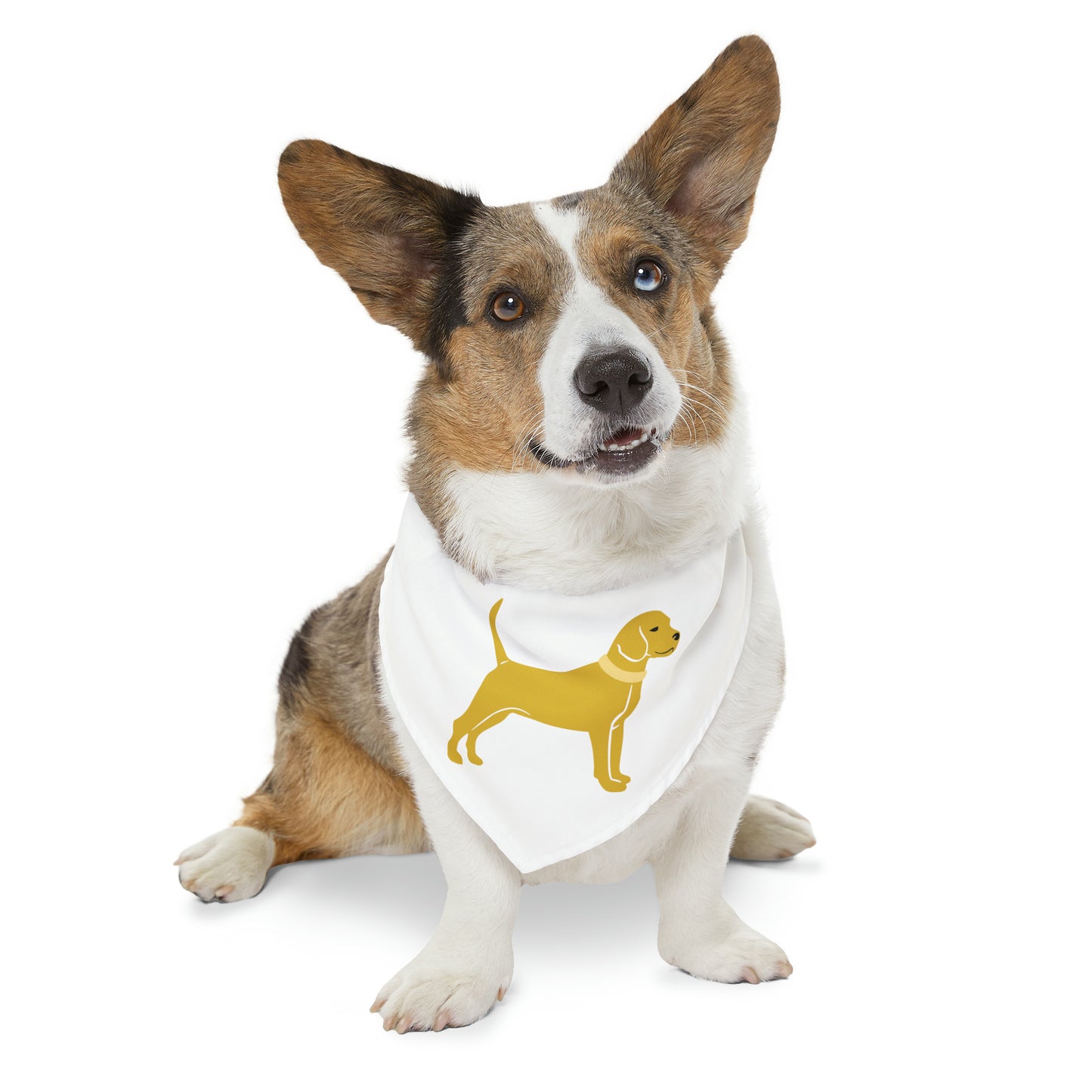 Little Yellow Dog Pet Bandana Collar