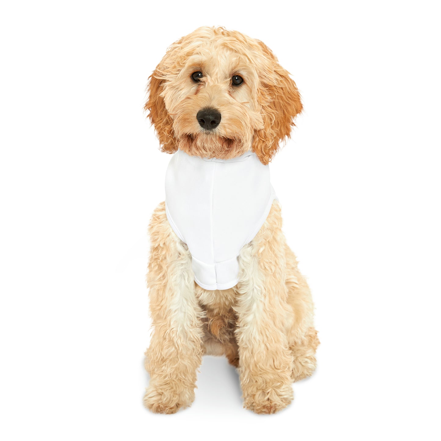 Unleashed Life Lucky Dog Pet Hoodie