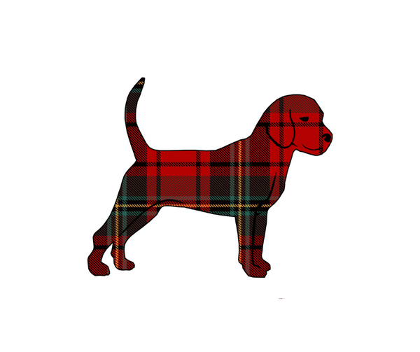 Unleashed Life Clothing Co.